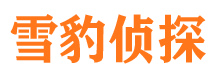 玄武市侦探调查公司